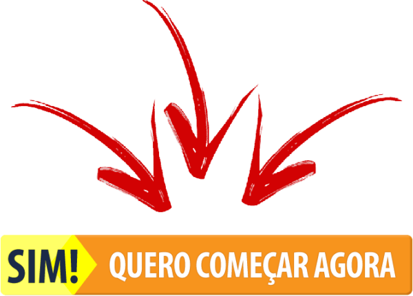 Você está pronto para dar o próximo passo? Veja como o Método RMI pode acelerar seu sucesso e garantir segurança nos seus resultados!